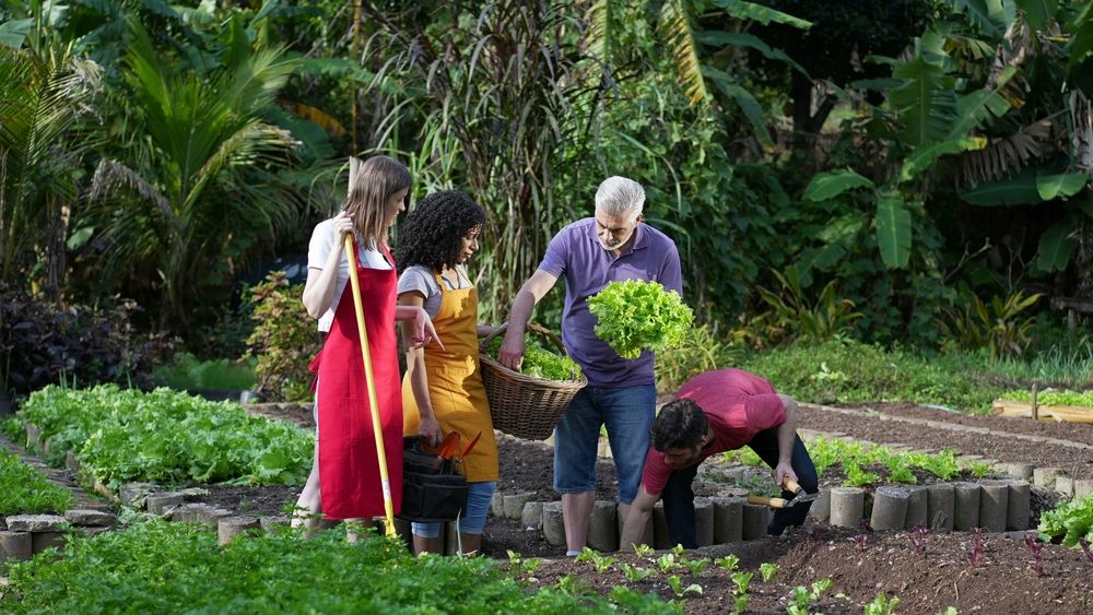 Empowering Communities through Urban Farming