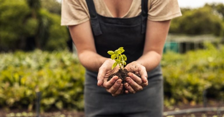 Sustainable Farming