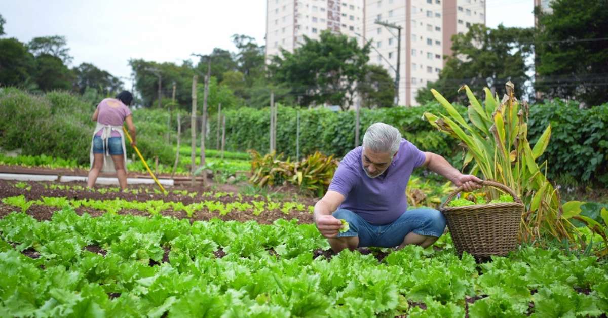 Empowering Communities through Urban Farming