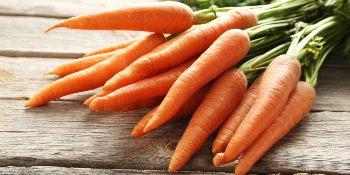 Caring for Your Carrot Plant