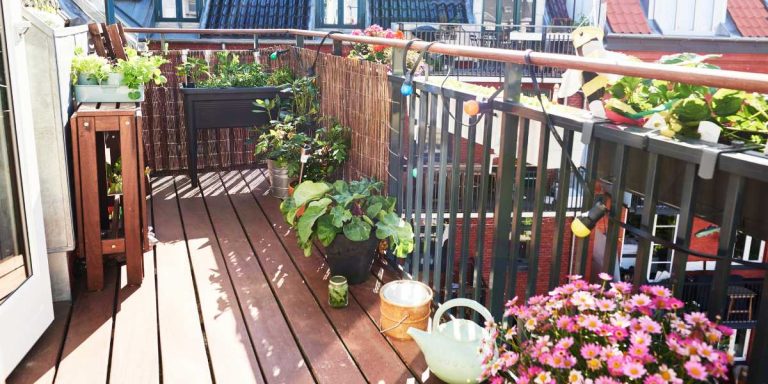 balcony gardening