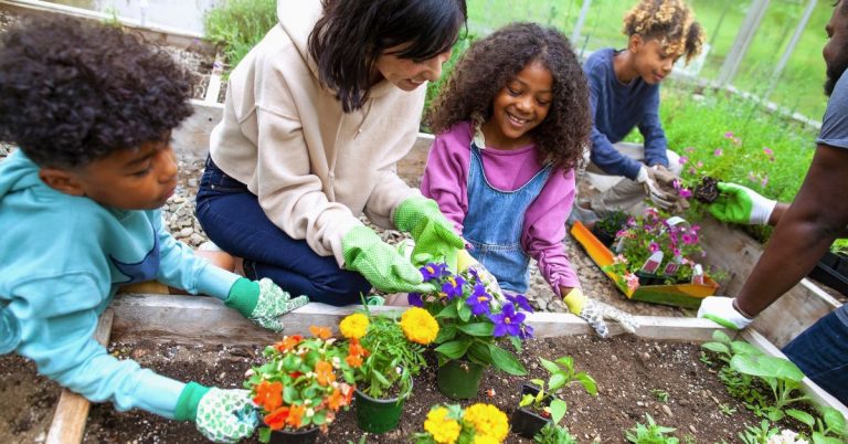 Gardening Solutions for Urban Farmers