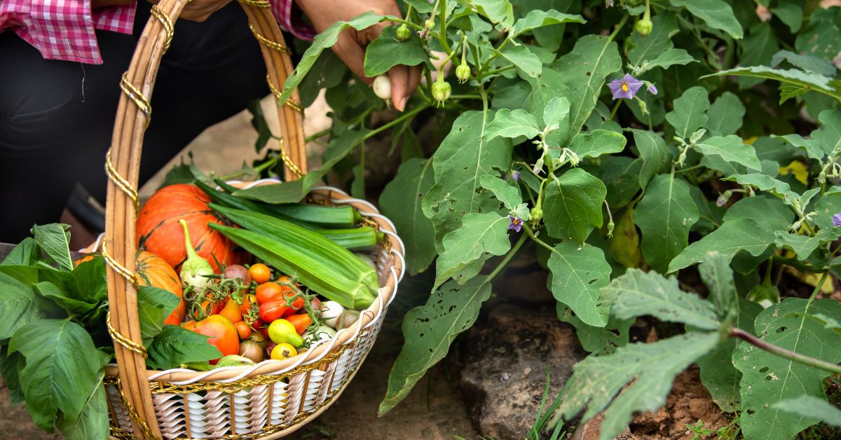 Backyard Gardening in Canada