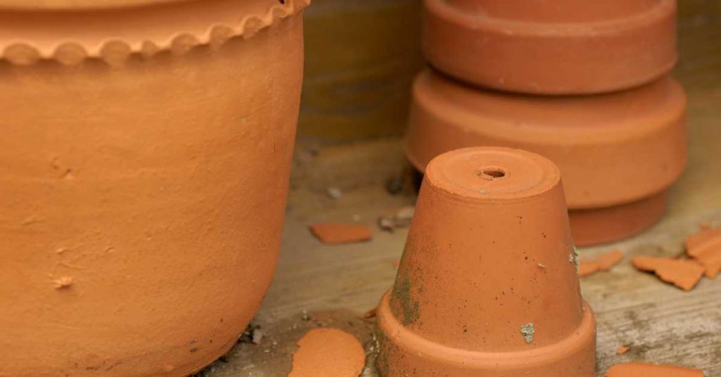 Plant Pots