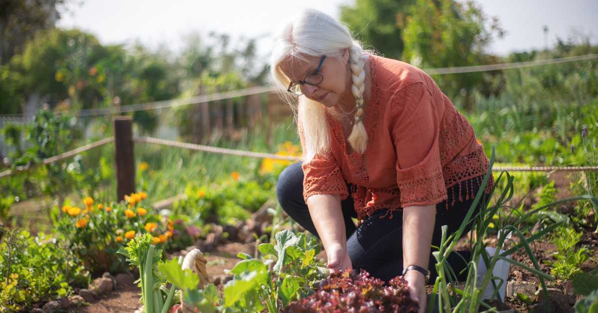 First Vegetable Garden