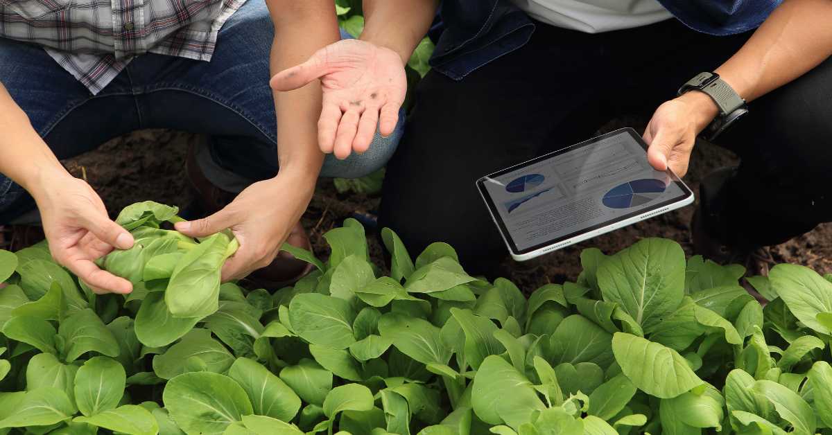 Plant Management Systems for Urban Farmers in Canada