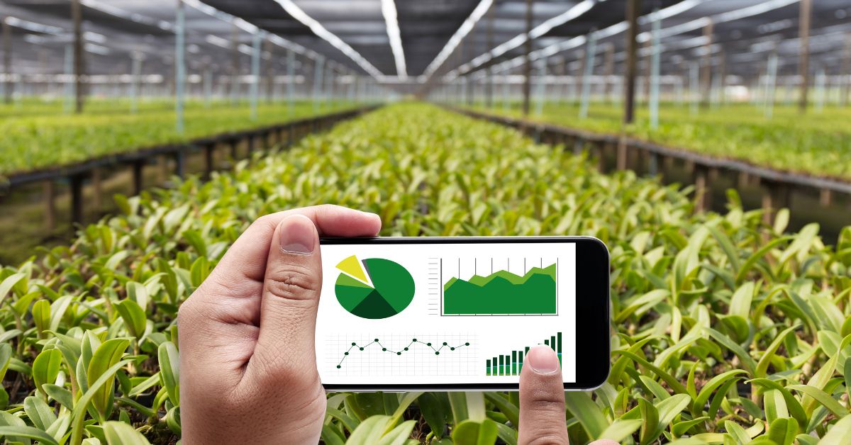 AI in Agriculture: The Future of Farming