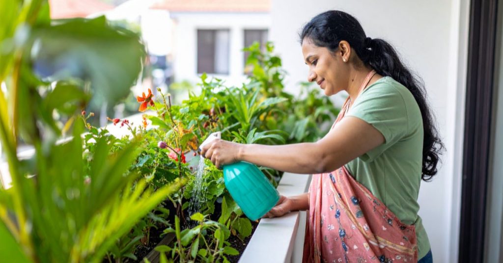 Watering Strategies for Balcony Bloomers