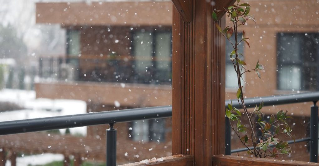 Overwintering and Cold Weather Strategies