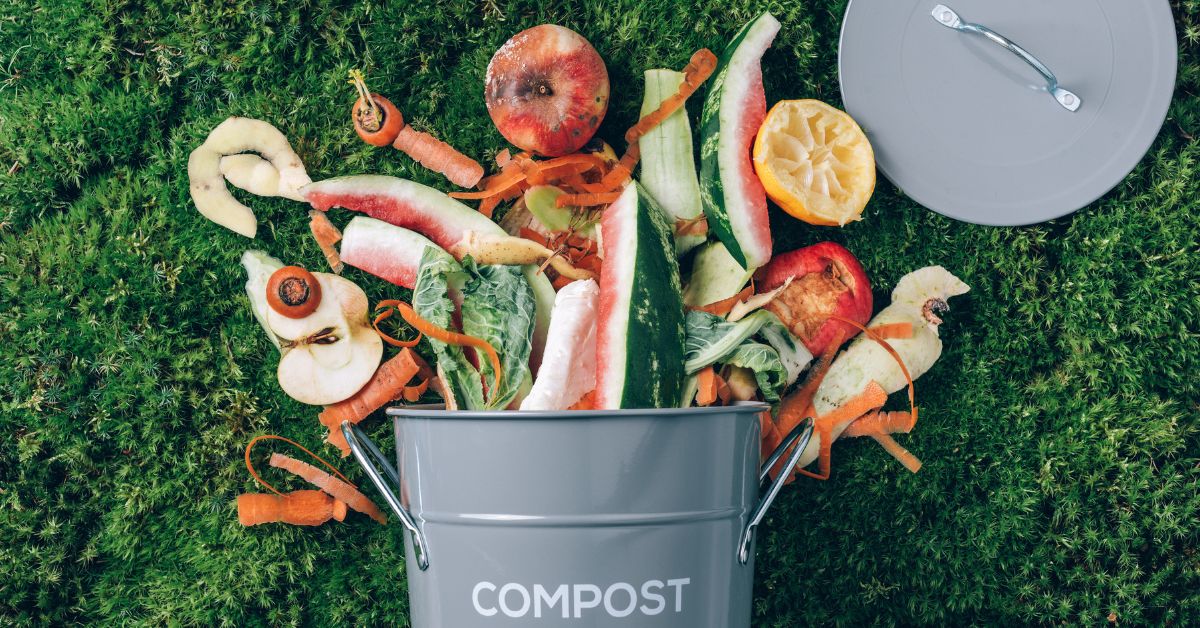 Canada's Food Waste Crisis